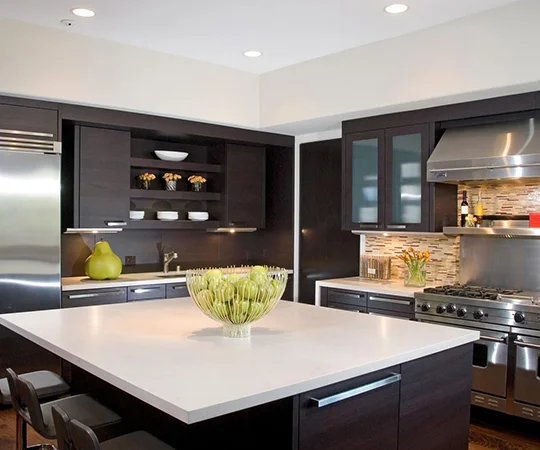 Modern Kitchen Cabinet Services